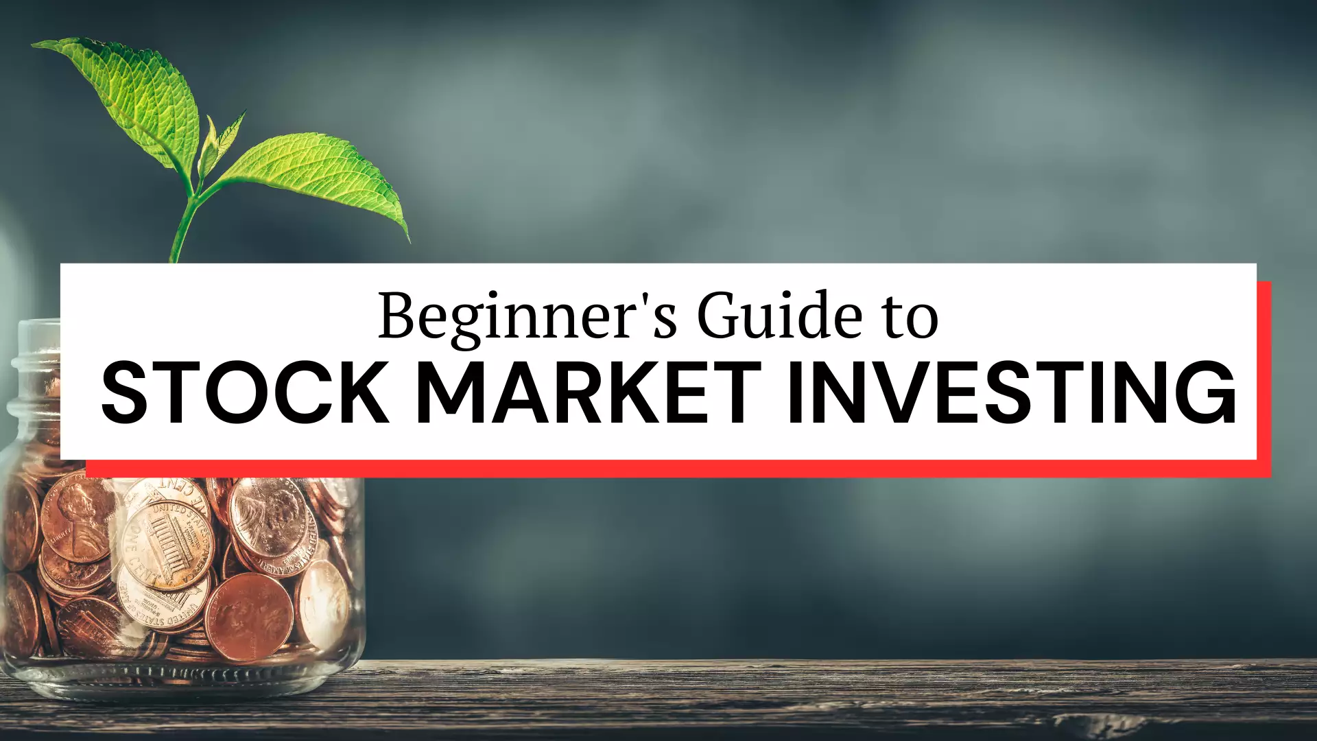 Beginner's Guide to Stock Market Investing