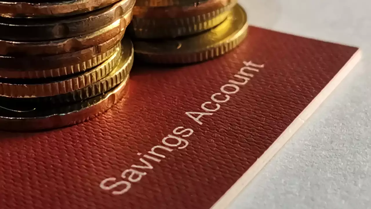 Understanding Savings Accounts-Savings Accounts Explained